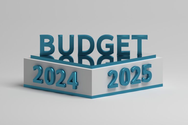 Budget 2024 2025